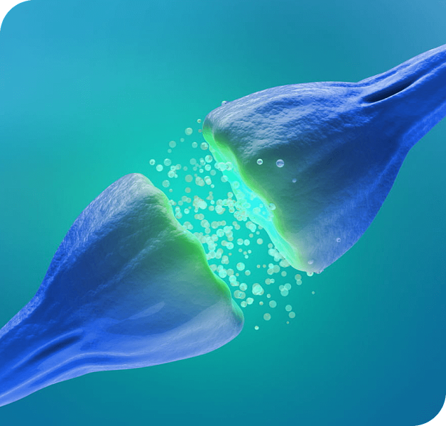 Информационный сервис Синапс онлайн